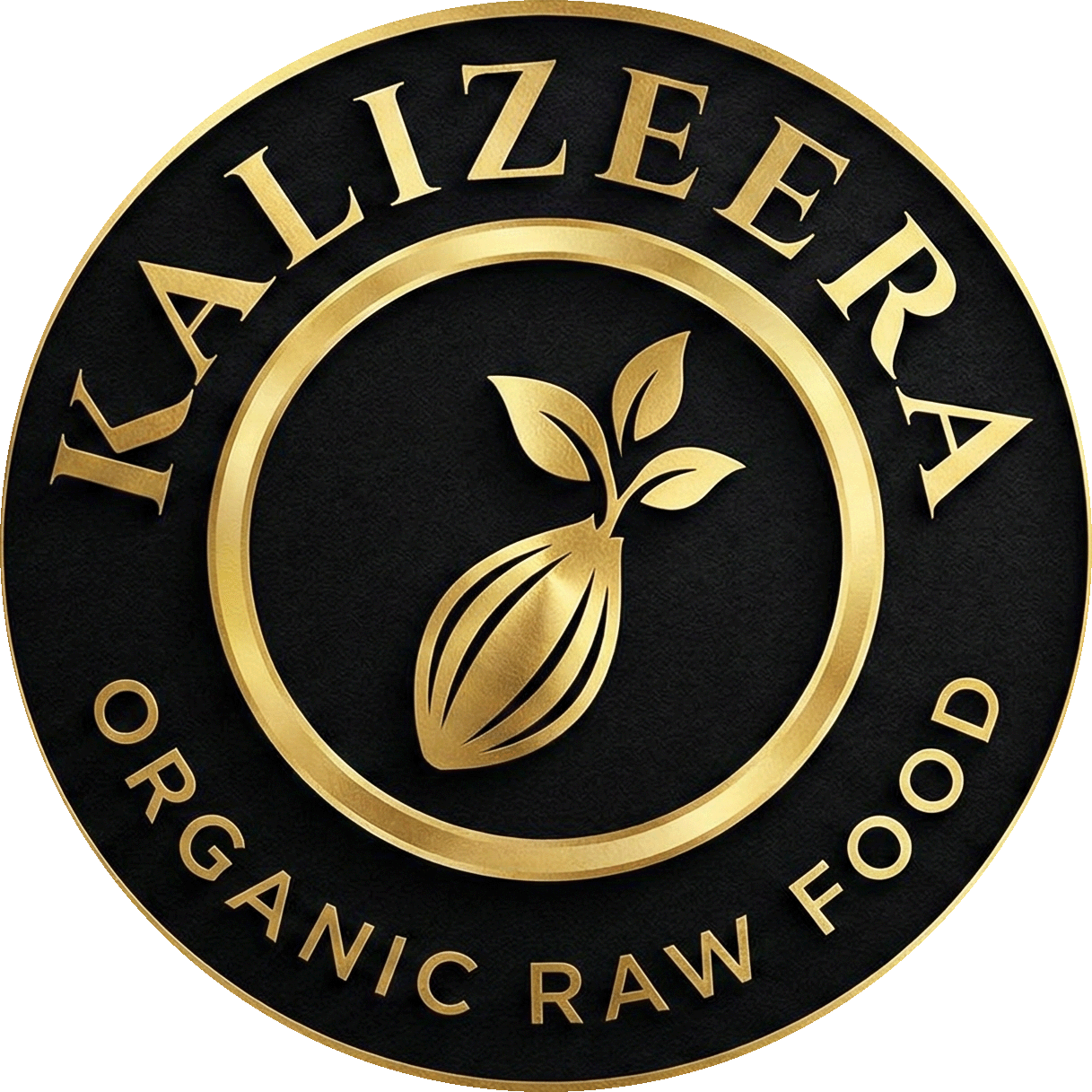 kalizeera-logo-transparent